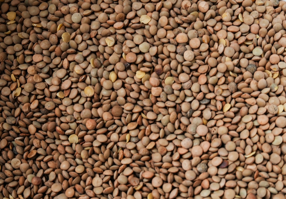 Rustic Lentils